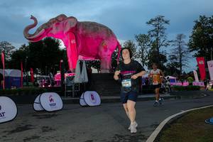 BIB: 
                            <button type="button" onclick="openModal(26529682)" class="btn btn-primary btn-sm float-right btn-popup" data-toggle="modal" data-target=".modal-high-quality">
                        <i class="fas fa-shopping-cart"></i> Add to Cart
                    </button>
                                            <button type="button" onclick="isThisMe(26529682, true)" class="btn btn-success btn-sm float-right btn-popup btn-isme hidden" data-toggle="tooltip" data-placement="bottom" title="นี่คือรูปของคุณใช่ไหม คลิกที่นี่เพื่อเอาเข้าอัลบั้ม">
                        <i class="fas fa-plus"></i> Add to album
                    </button>
                    <button type="button" onclick="isThisMe(26529682, false)" class="btn btn-warning btn-sm float-right btn-popup btn-isnotme hidden">
                        <i class="fas fa-ban"></i> Remove from album
                    </button>